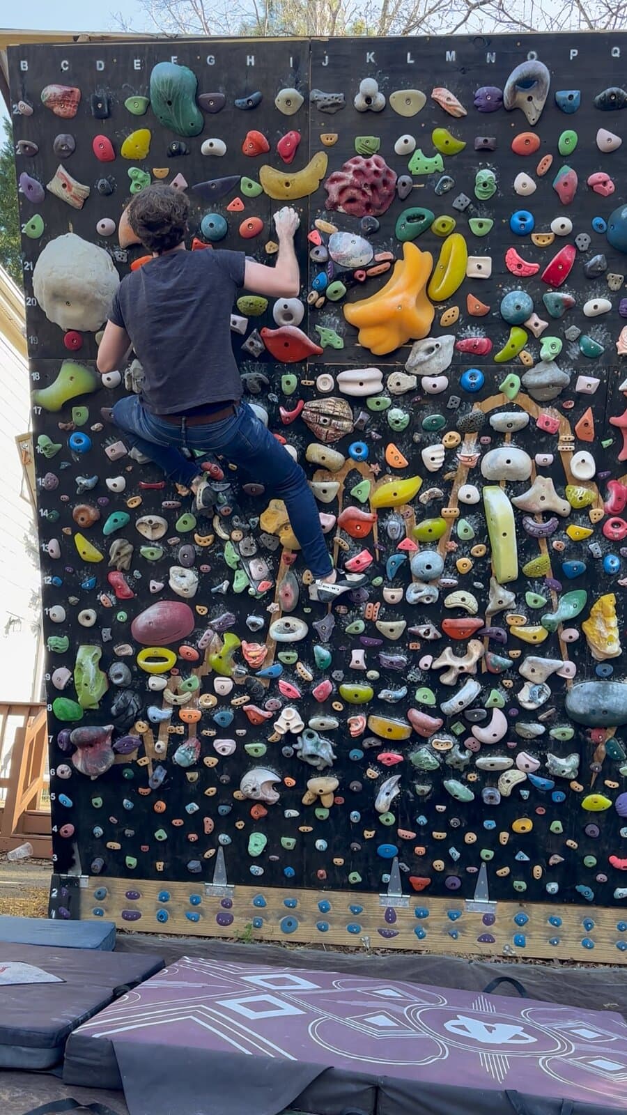 A climber reaching high on the backyard wall